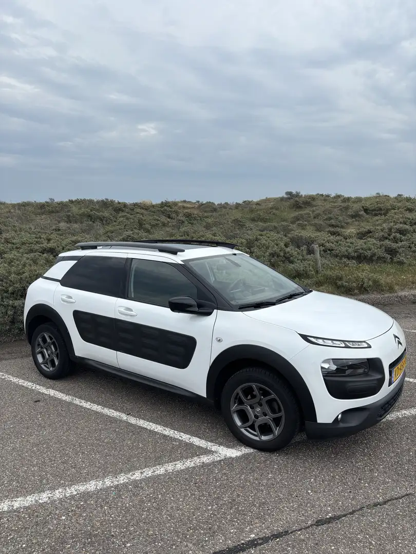 Citroen C4 Cactus 1.2 PureTech Shine Wit - 1