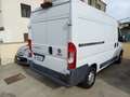 Fiat Ducato 2.3 MULTIJET  16V 130 CV Blanco - thumbnail 4