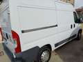 Fiat Ducato 2.3 MULTIJET  16V 130 CV Weiß - thumbnail 5