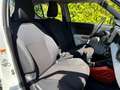 Suzuki Ignis 1.2 Hybrid Top Blanc - thumbnail 13