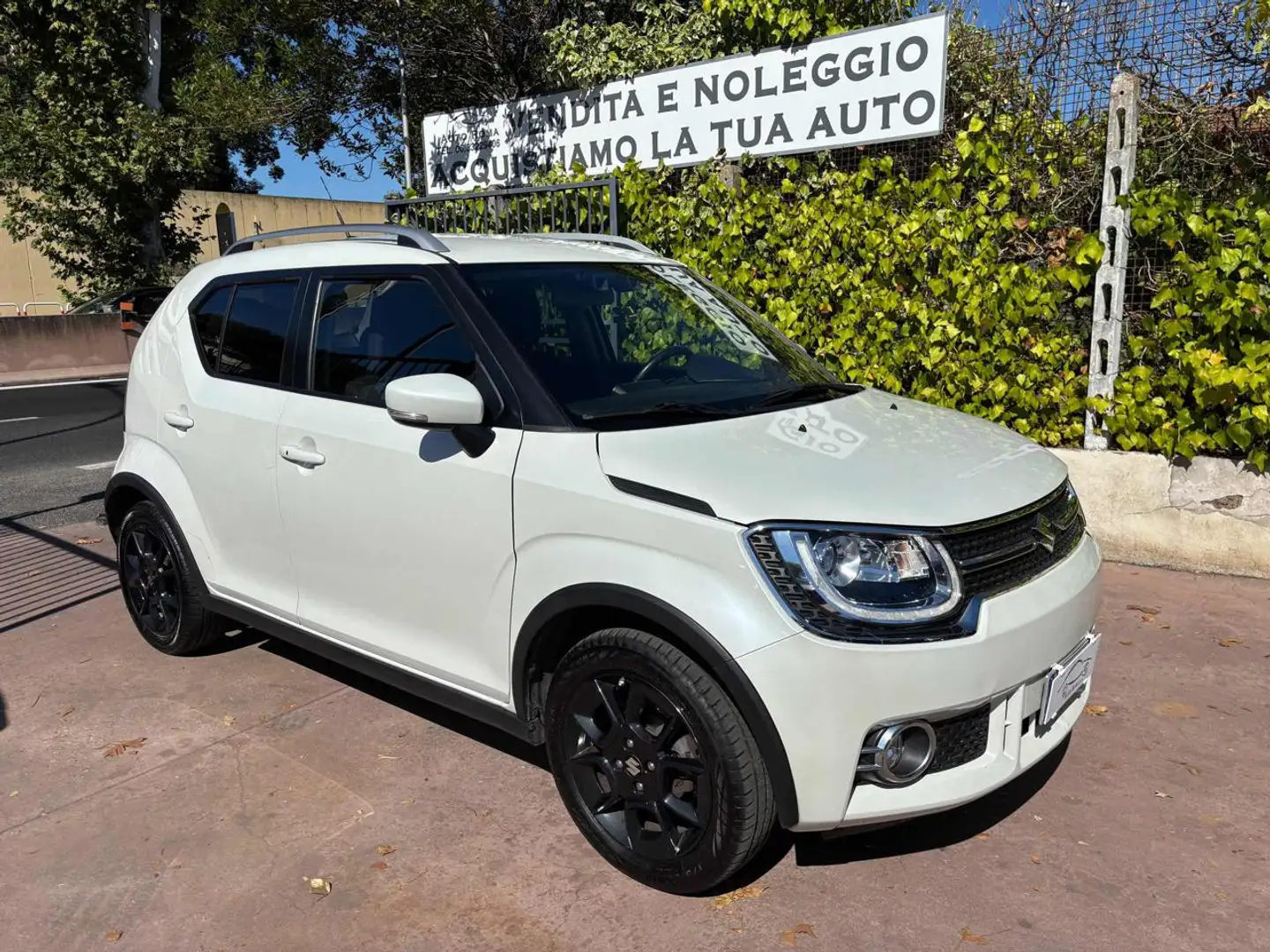 Suzuki Ignis 1.2 Hybrid Top Bianco - 1