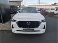 Mazda CX-60 Takumi HUD Panorama 360 Kamera SHZ Temp Navi Digit Weiß - thumbnail 2