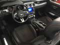 Ford Mustang Convertible 5.0 Ti-VCT GT Aut. Negro - thumbnail 10