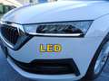 Skoda Octavia Kombi Ambition TSI e-TEC DSG**AHV**LED** Weiß - thumbnail 22
