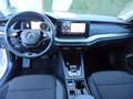 Skoda Octavia Kombi Ambition TSI e-TEC DSG**AHV**LED** Weiß - thumbnail 13