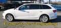 Skoda Octavia Kombi Ambition TSI e-TEC DSG**AHV**LED** Weiß - thumbnail 9