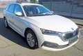 Skoda Octavia Kombi Ambition TSI e-TEC DSG**AHV**LED** Weiß - thumbnail 4