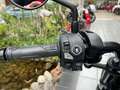 Honda CMX 1100 Rebel 2025 6 Jahre Garantie plava - thumbnail 5