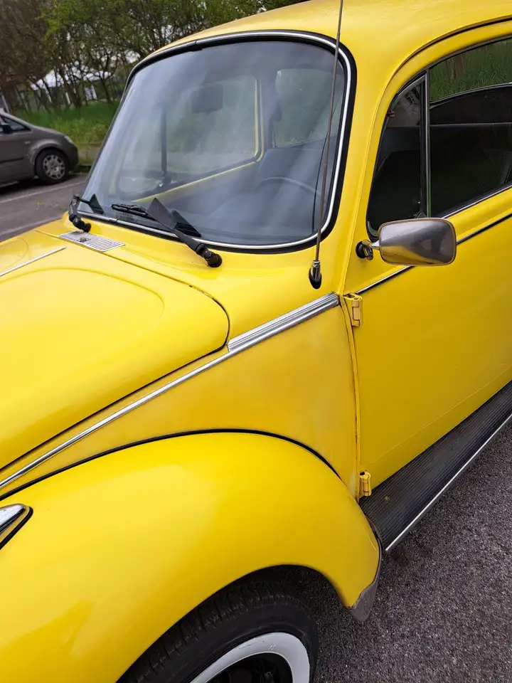 Volkswagen Maggiolino, foto 9