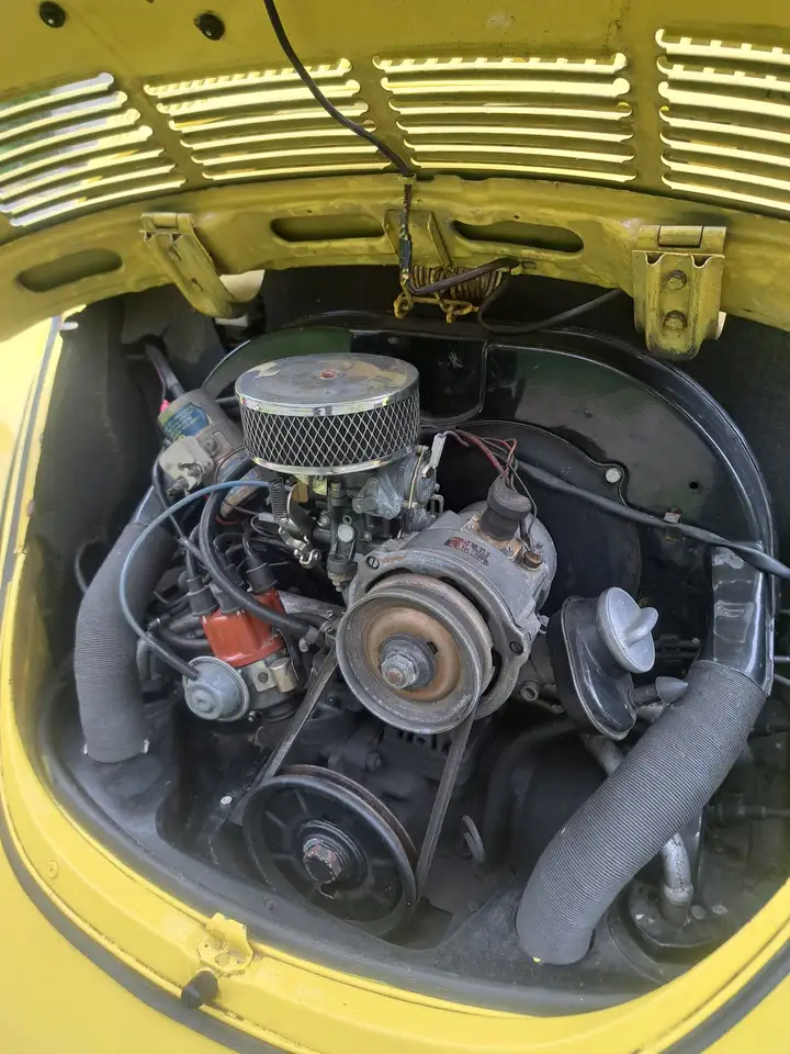 Volkswagen Maggiolino, foto 3
