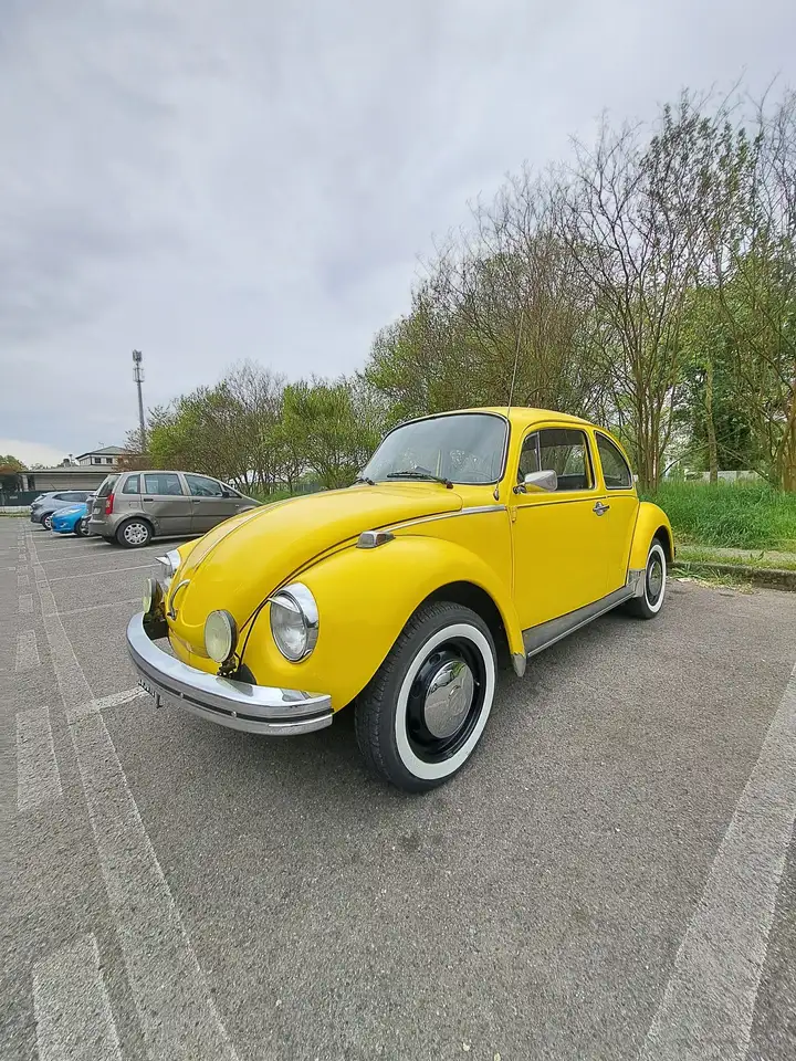 Volkswagen Maggiolino, foto 11