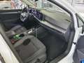 Volkswagen Golf 8 VIII 2.0 TDI DSG Active Matrix/AHK/Pano/H Weiß - thumbnail 3