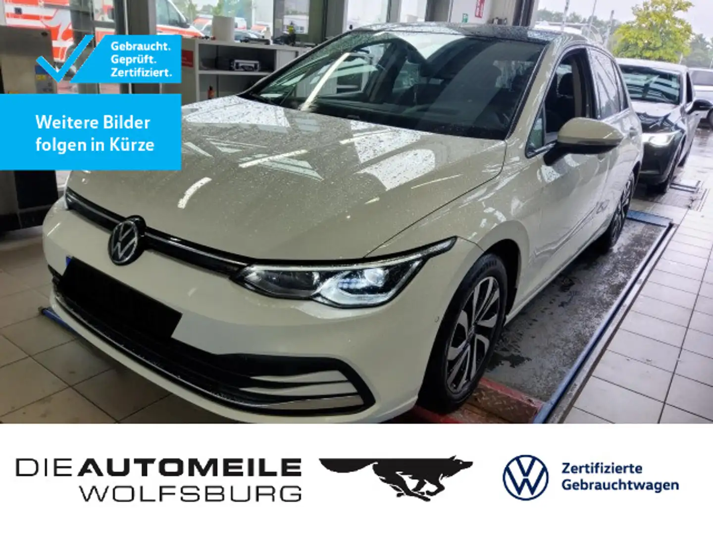 Volkswagen Golf 8 VIII 2.0 TDI DSG Active Matrix/AHK/Pano/H Weiß - 1