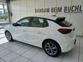 Opel Corsa 1,2 Euro 6.4 Weiß - thumbnail 19
