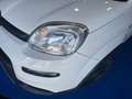 Fiat Panda 0.9 t.air t. 4x4 s&s 85cv my19 - thumbnail 6