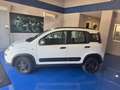Fiat Panda 0.9 t.air t. 4x4 s&s 85cv my19 - thumbnail 3