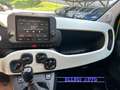 Fiat Pandina PANDINA CROSS PROMO FINAZ  1.0 FireFly  Hy Giallo - thumbnail 15