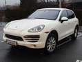 Porsche Cayenne Cayenne II 3,6 Aut. Weiß - thumbnail 2