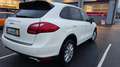 Porsche Cayenne Cayenne II 3,6 Aut. Weiß - thumbnail 4
