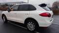 Porsche Cayenne Cayenne II 3,6 Aut. Weiß - thumbnail 6