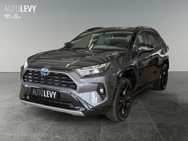 Toyota Rav4 view 2