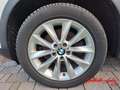 BMW X3 BMW X3 xDrive20d Weiß - thumbnail 19