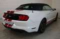 Ford Mustang Basis Convertible LED Vollleder Kamera Weiß - thumbnail 9