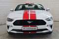 Ford Mustang Basis Convertible LED Vollleder Kamera Weiß - thumbnail 2