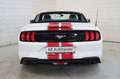 Ford Mustang Basis Convertible LED Vollleder Kamera Weiß - thumbnail 5