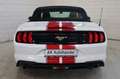 Ford Mustang Basis Convertible LED Vollleder Kamera Weiß - thumbnail 8