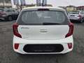 Kia Picanto 1,0 MPI Caritas Weiß - thumbnail 12