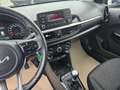 Kia Picanto 1,0 MPI Caritas Weiß - thumbnail 6