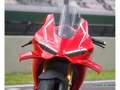Ducati Panigale V4 R Rouge - thumbnail 6
