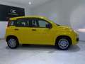 Fiat Panda 1.0 Hybrid Icon 51KW Amarillo - thumbnail 4