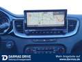 Kia XCeed XCeed Plug-in-Hybrid Spirit Bi-LED Navi Apple Gris - thumbnail 14