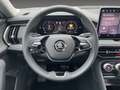 Skoda Kodiaq Selection 2.0 TDI DSG 4x4 NAVI LED AHK Weiß - thumbnail 10