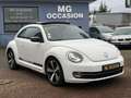 Volkswagen New Beetle New Beetle 1.9 TDI - 105 sport Blanc - thumbnail 1