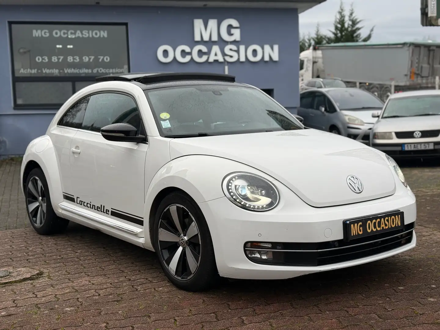 Volkswagen New Beetle New Beetle 1.9 TDI - 105 sport Blanc - 1