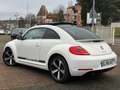 Volkswagen New Beetle New Beetle 1.9 TDI - 105 sport Blanc - thumbnail 9