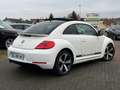 Volkswagen New Beetle New Beetle 1.9 TDI - 105 sport Blanc - thumbnail 8