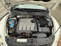 Volkswagen New Beetle New Beetle 1.9 TDI - 105 sport Blanc - thumbnail 15