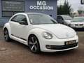 Volkswagen New Beetle New Beetle 1.9 TDI - 105 sport Blanc - thumbnail 7