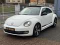 Volkswagen New Beetle New Beetle 1.9 TDI - 105 sport Blanc - thumbnail 4