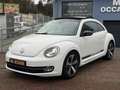 Volkswagen New Beetle New Beetle 1.9 TDI - 105 sport Blanc - thumbnail 3