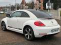 Volkswagen New Beetle New Beetle 1.9 TDI - 105 sport Blanc - thumbnail 10