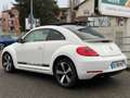Volkswagen New Beetle New Beetle 1.9 TDI - 105 sport Blanc - thumbnail 6