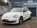 Volkswagen New Beetle New Beetle 1.9 TDI - 105 sport Blanc - thumbnail 2