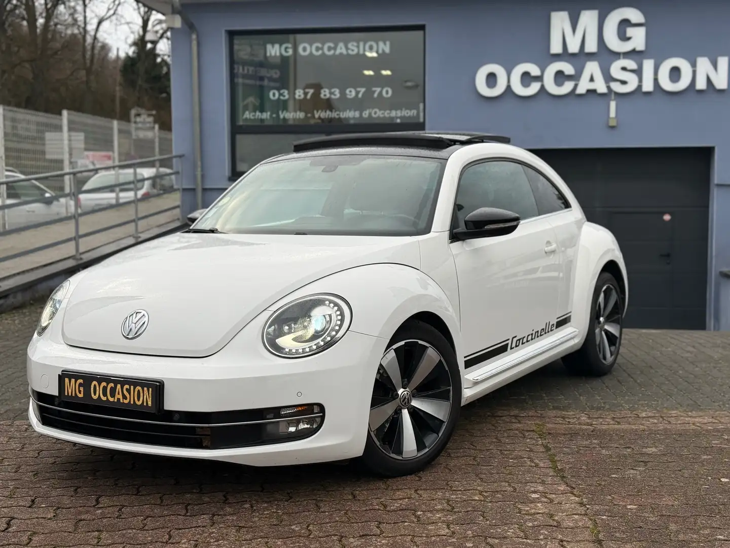 Volkswagen New Beetle New Beetle 1.9 TDI - 105 sport Blanc - 2