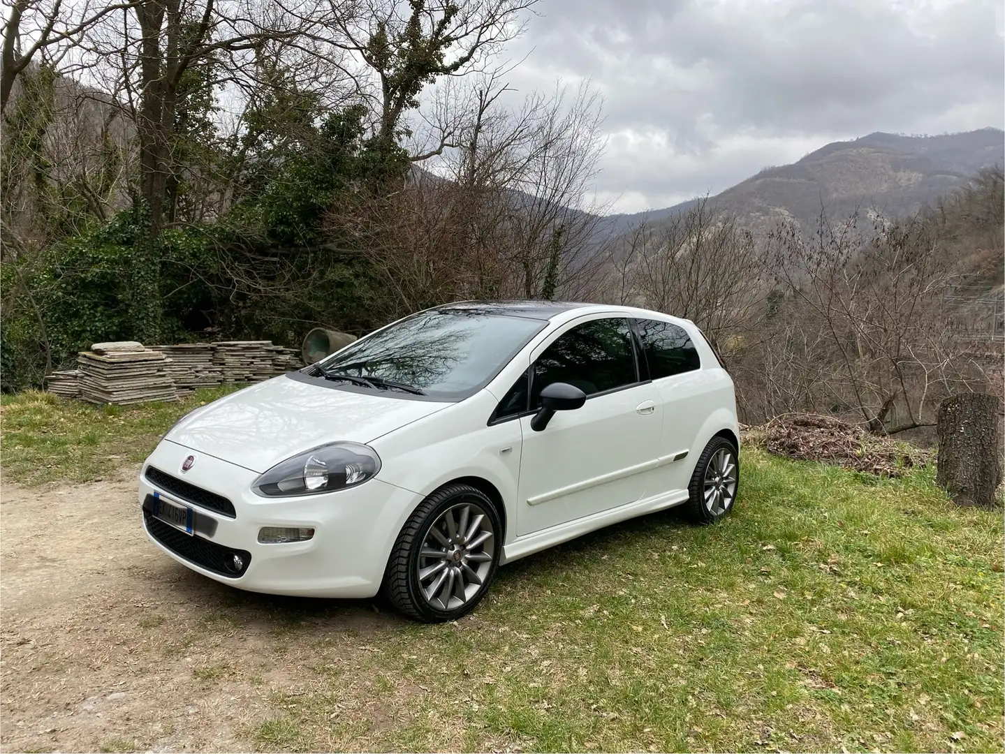 Fiat Punto Punto III 2012 3p 1.3 mjt II 16v Sport s Alb - 1
