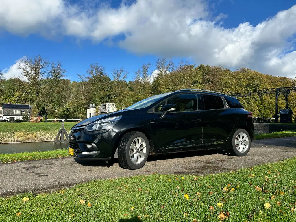 Renault Clio 2017 из Европы — купить под ключ
